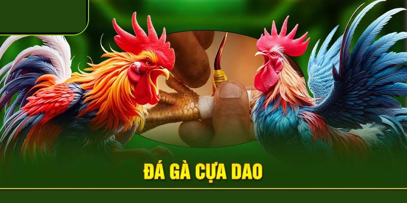 Đá gà cựa dao ảnh đại diện